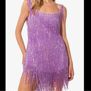 NWT Fringe Dress - ERAS TOUR 🪩💖